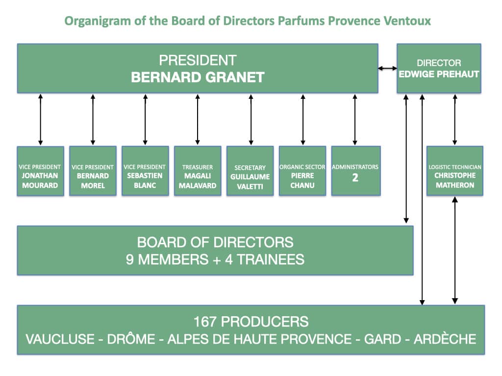 Organigram of the Board of Directors